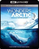 Wonders of the Arctic 4K 2014