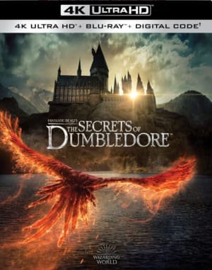 Les Animaux fantastiques: Les Secrets de Dumbledore 4K 2022