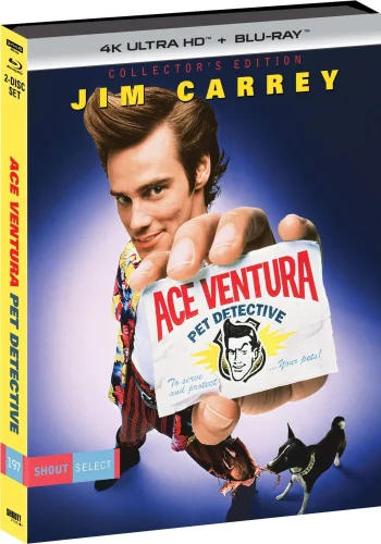 Ace Ventura, détective chiens et chats 4K 1994