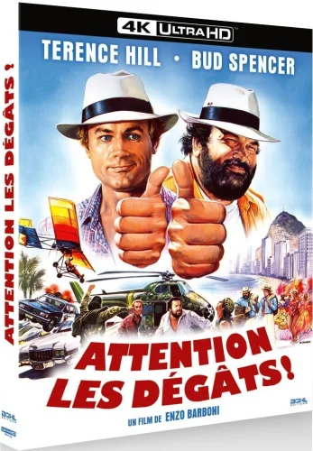 Attention les dégâts 4K 1984