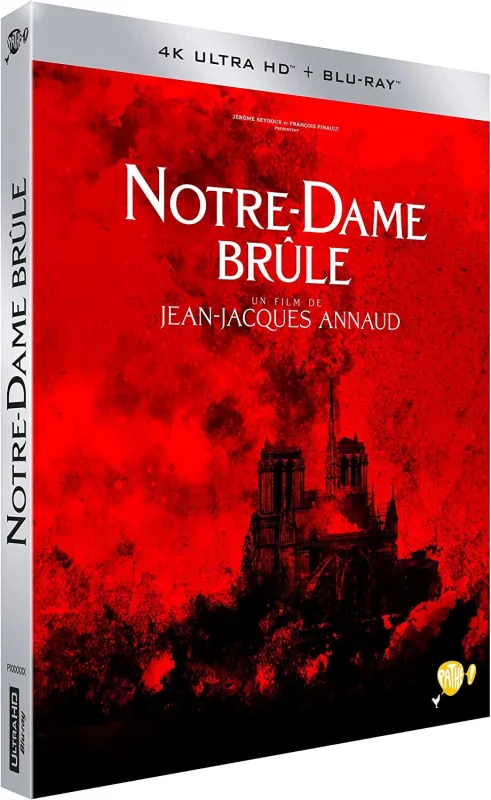 Notre-Dame brûle 4K 2022